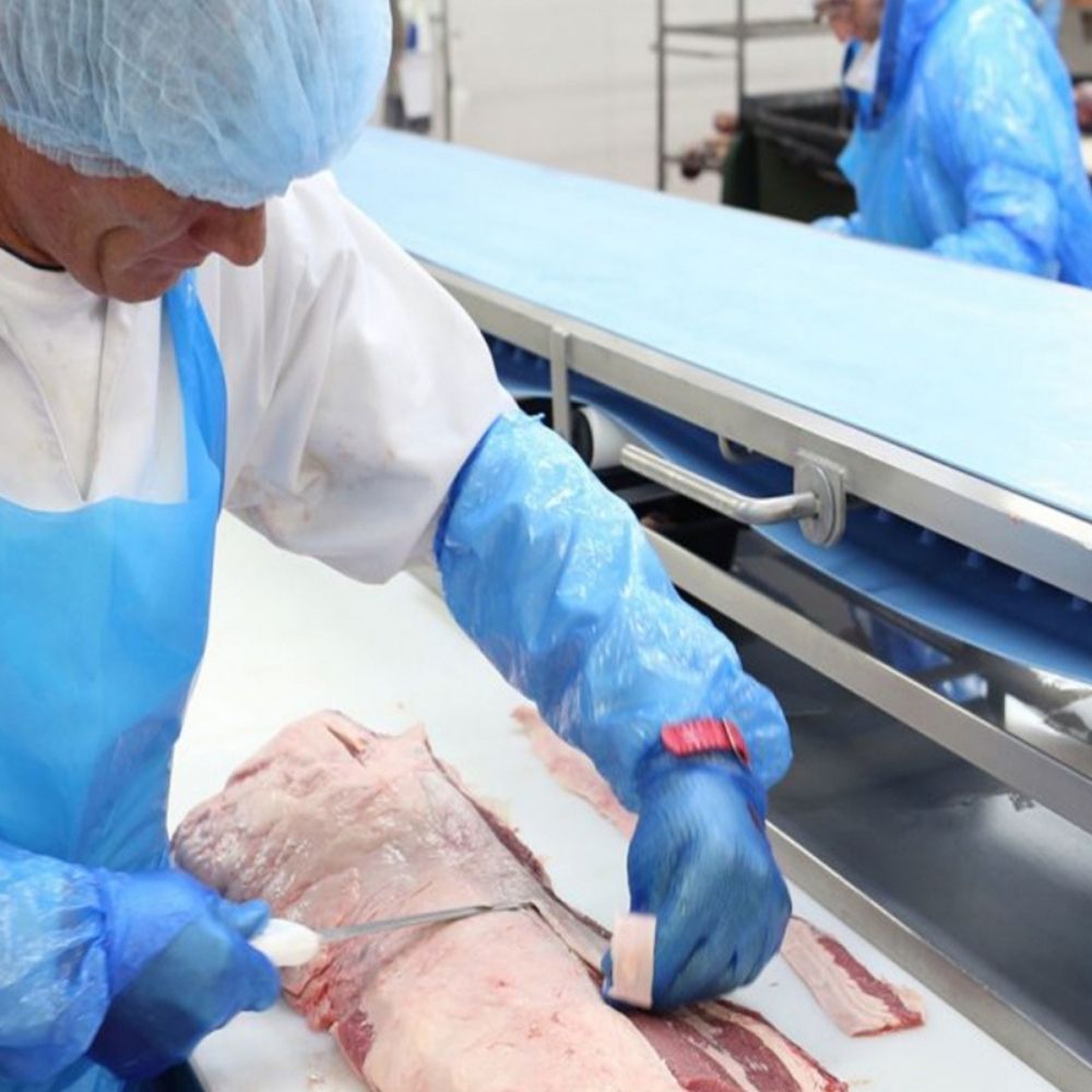 50522.08 ΜΑΝΙΚΙΑ ΠΛΑΣΤΙΚΑ ΜΙΑΣ ΧΡΗΣΗΣ - Image 1